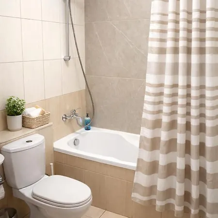 Cyprus Sunflower Παραλίμνι