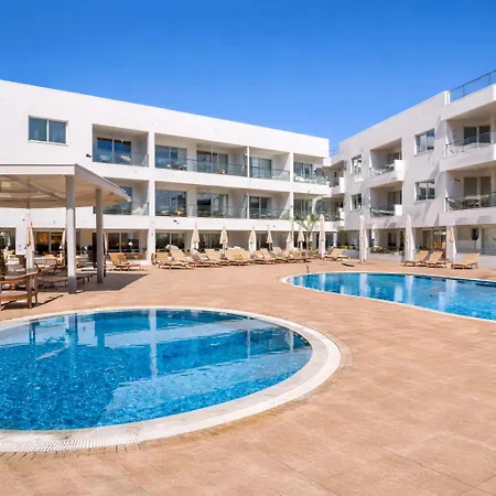 Cyprus Sunflower Paralimni